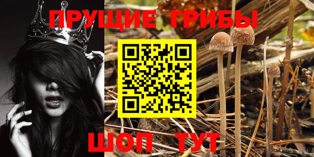 Галлюциногенные грибы GOLDEN TEACHER Вязьма