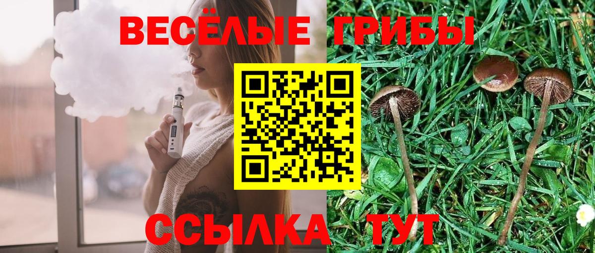 Вязьма  Псилоцибиновые грибы мухоморы  Вход с VPN  Галлюциногенные грибы прущие грибы 